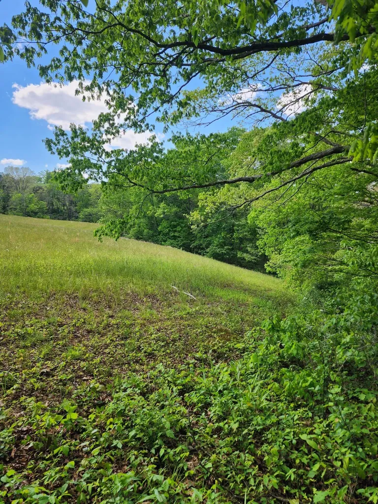 Tbd Mount Zion Church Road East Bernstadt KY 40729