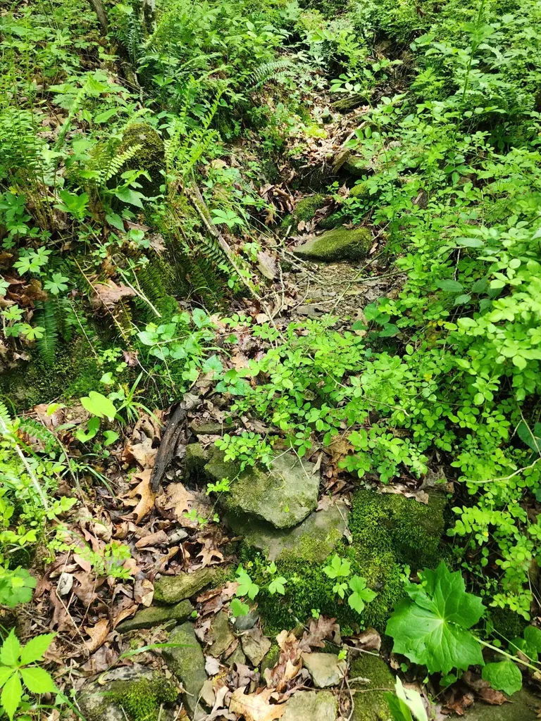 Tbd Mount Zion Church Road East Bernstadt KY 40729