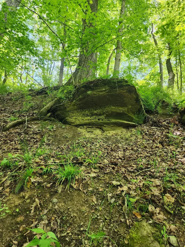 Tbd Mount Zion Church Road East Bernstadt KY 40729