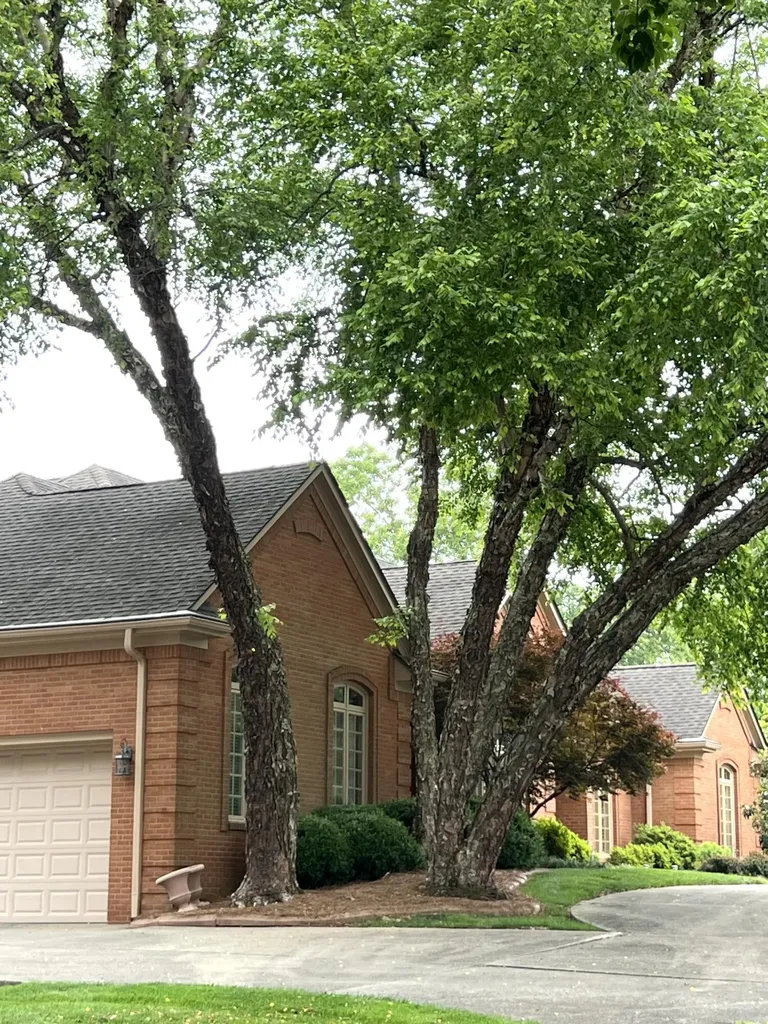 50 Spendthrift Street Frankfort KY 40601