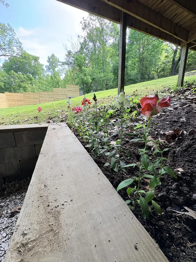 335 Hillside Street Olive Hill KY 41164