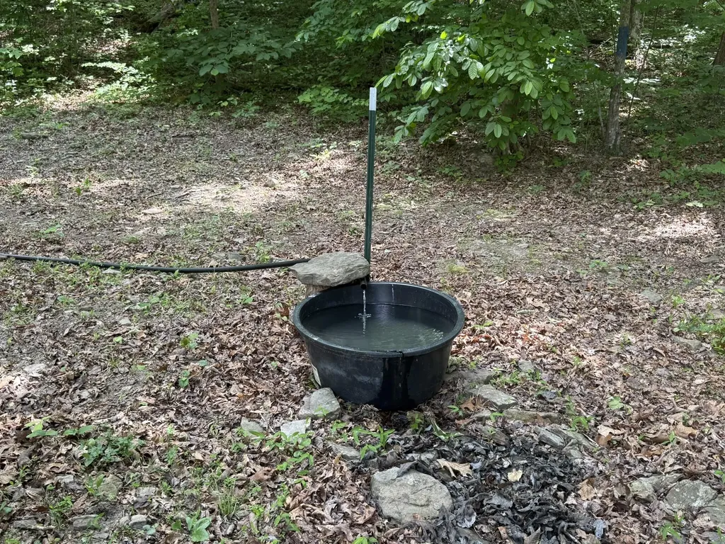 1658 Dry Hollow Road Monticello KY 42633