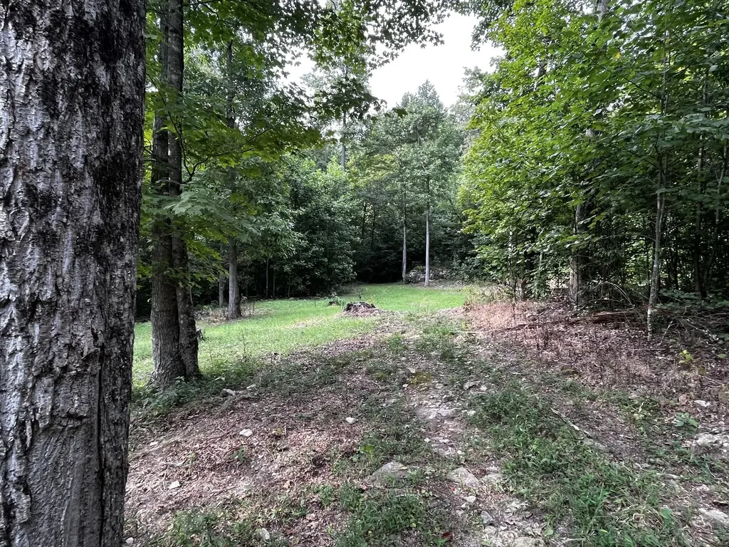 1658 Dry Hollow Road Monticello KY 42633