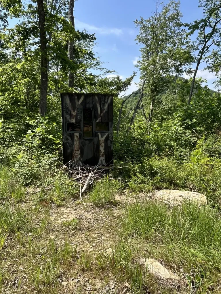 1658 Dry Hollow Road Monticello KY 42633
