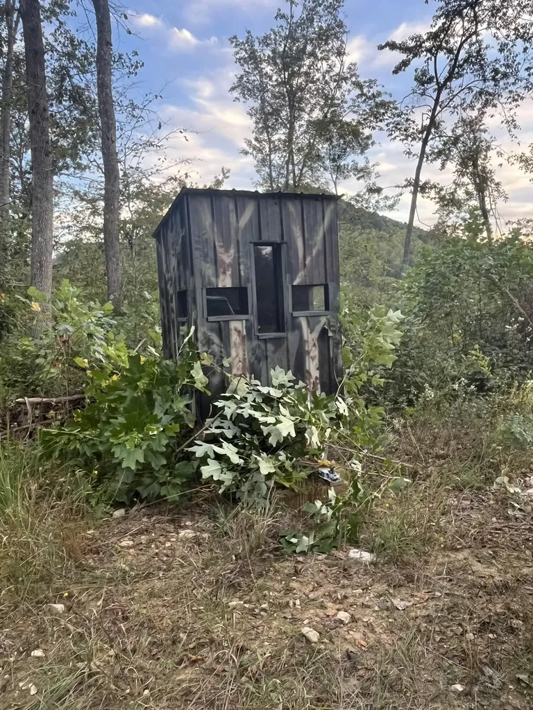 1658 Dry Hollow Road Monticello KY 42633