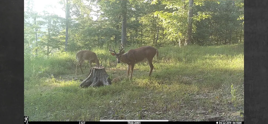 1658 Dry Hollow Road Monticello KY 42633