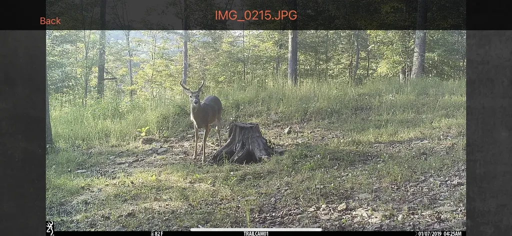 1658 Dry Hollow Road Monticello KY 42633