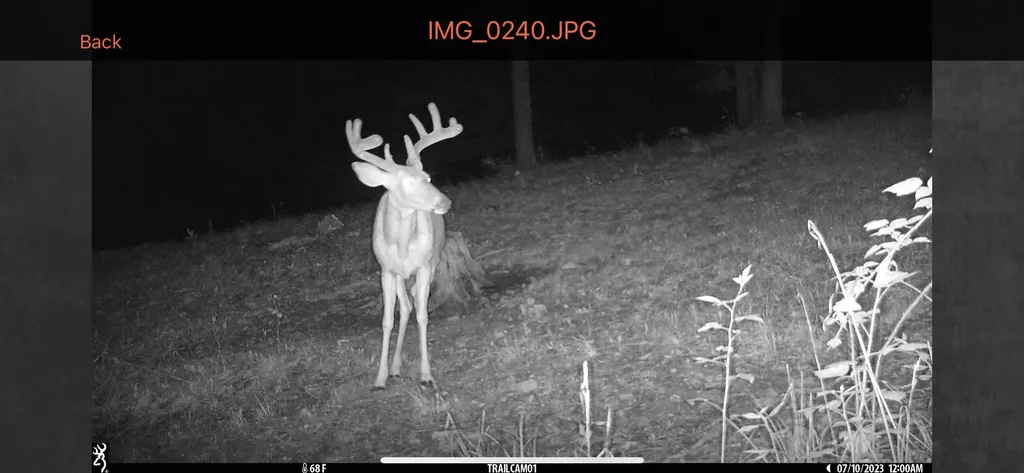 1658 Dry Hollow Road Monticello KY 42633