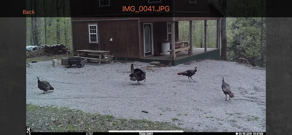 1658 Dry Hollow Road Monticello KY 42633