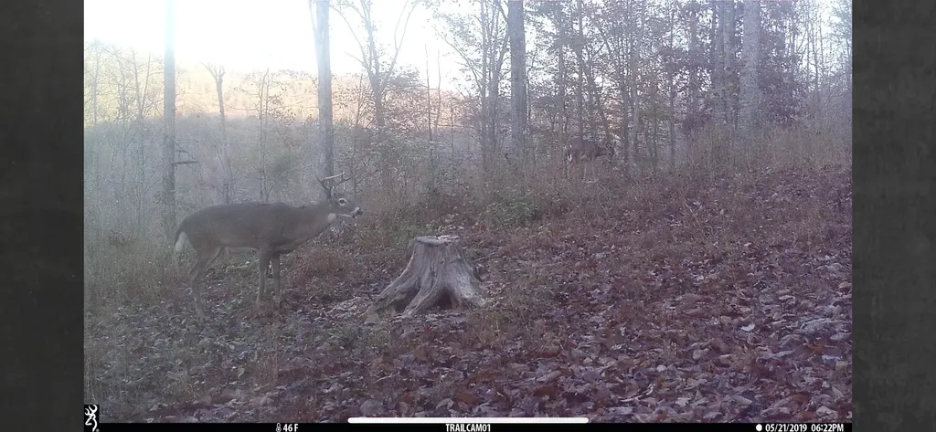 1658 Dry Hollow Road Monticello KY 42633