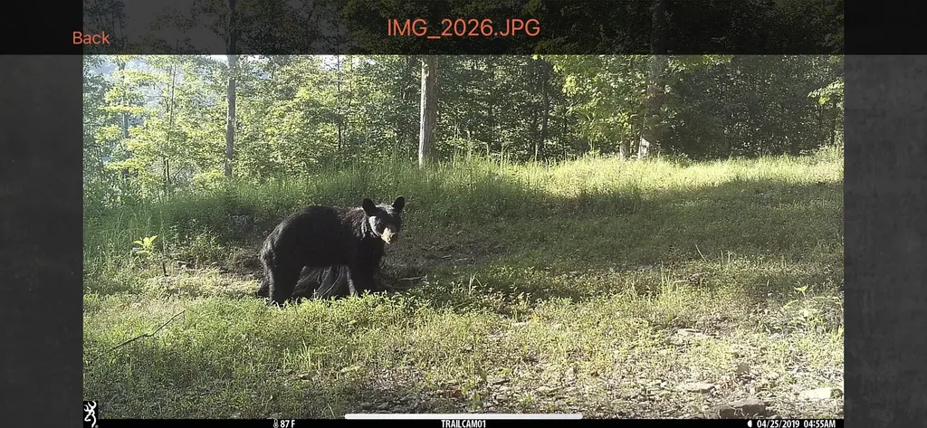 1658 Dry Hollow Road Monticello KY 42633