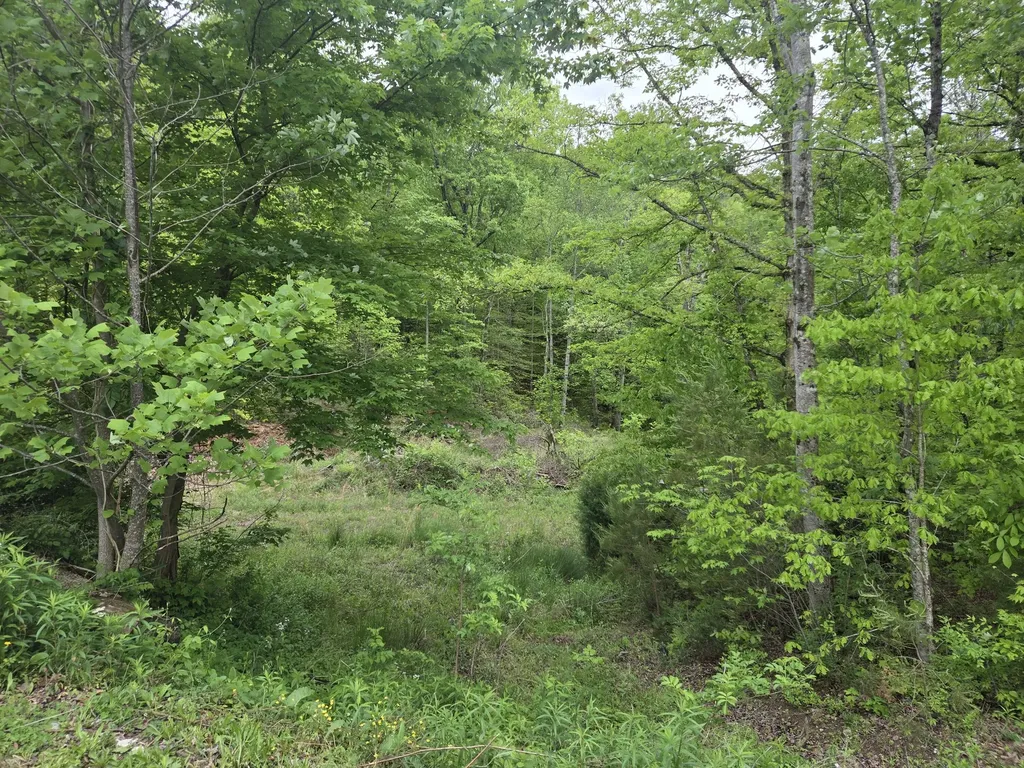 2799 Pine Ridge Road Winchester KY 40391