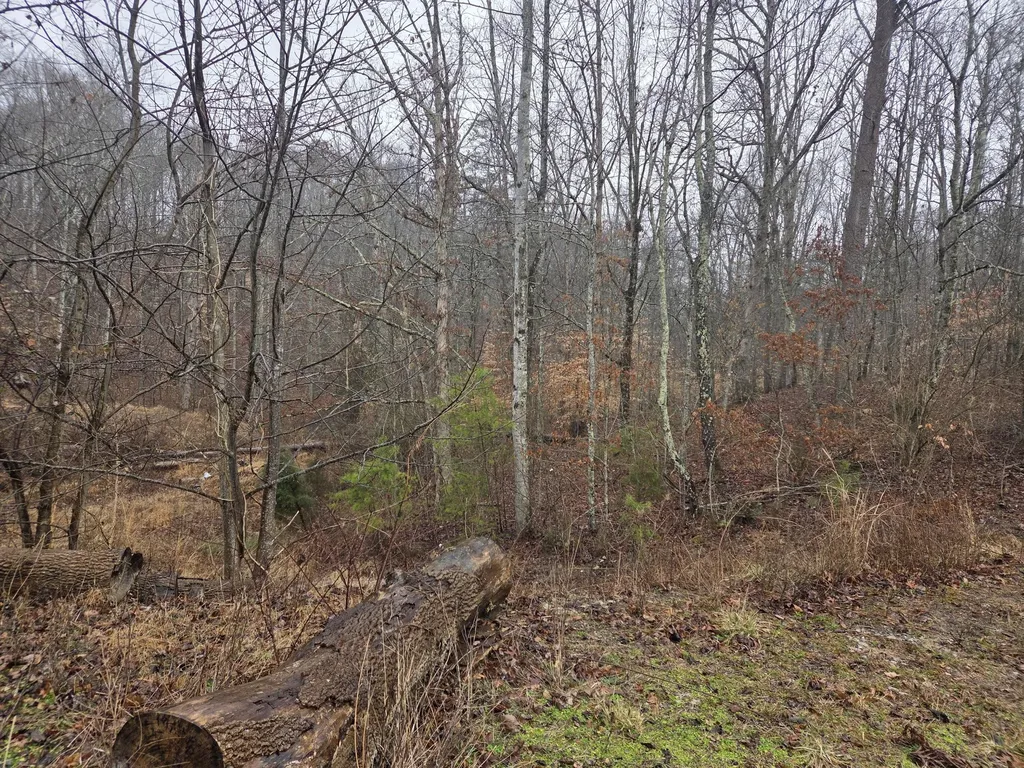 2799 Pine Ridge Road Winchester KY 40391