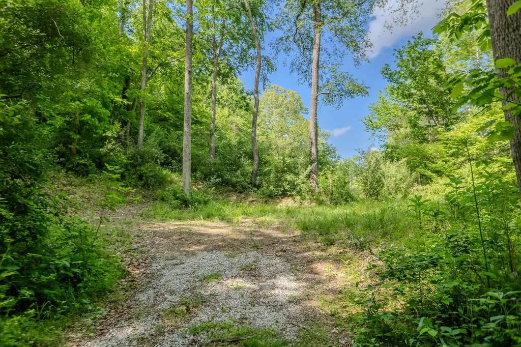 87 Kentucky 89 Mckee KY 40447