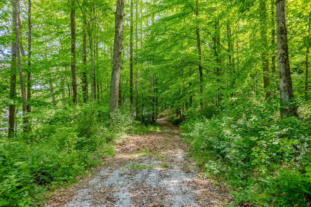 87 Kentucky 89 Mckee KY 40447