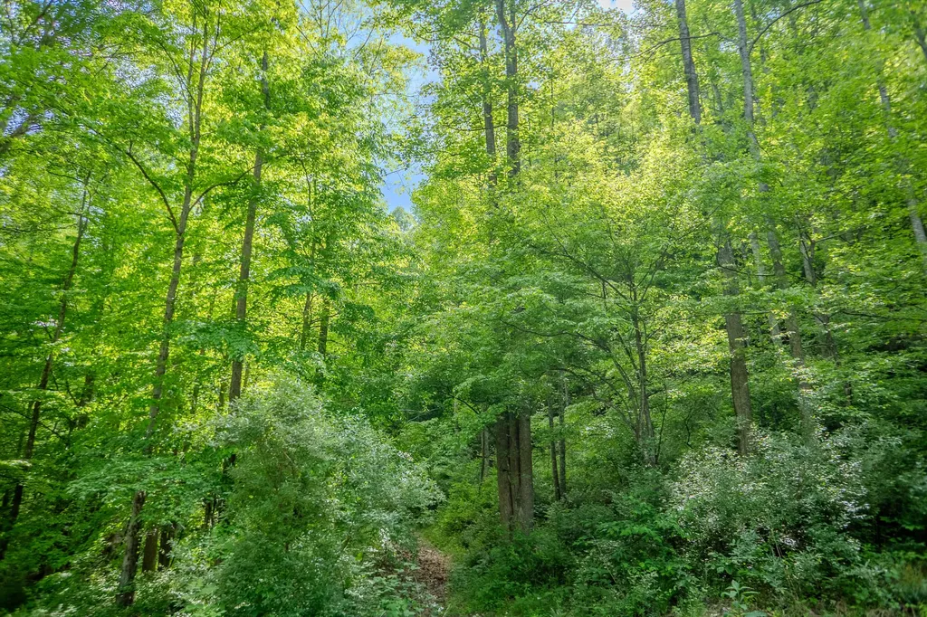 87 Kentucky 89 Mckee KY 40447