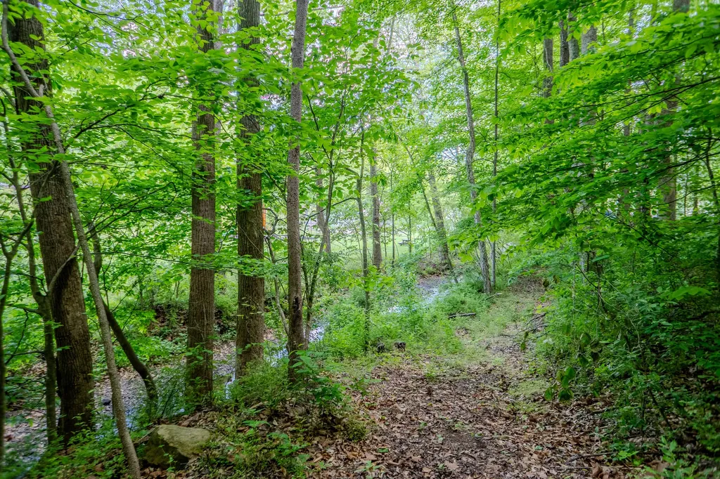 87 Kentucky 89 Mckee KY 40447