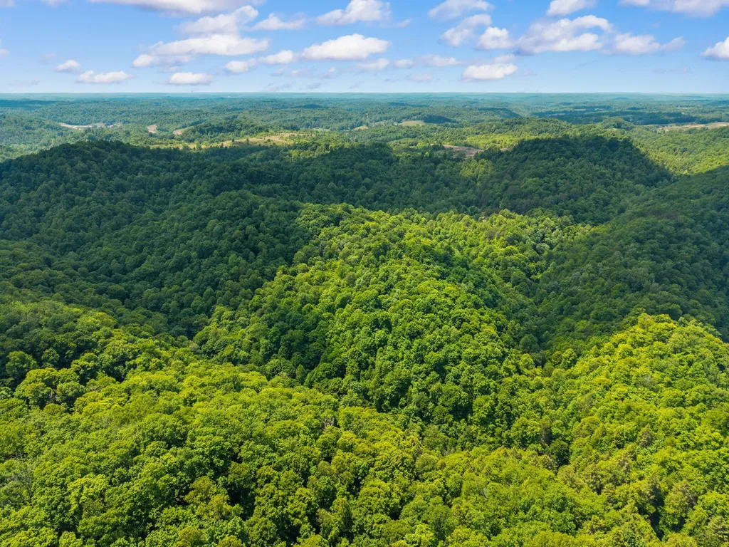 500 Fox Hunters Knob Road Booneville KY 41314