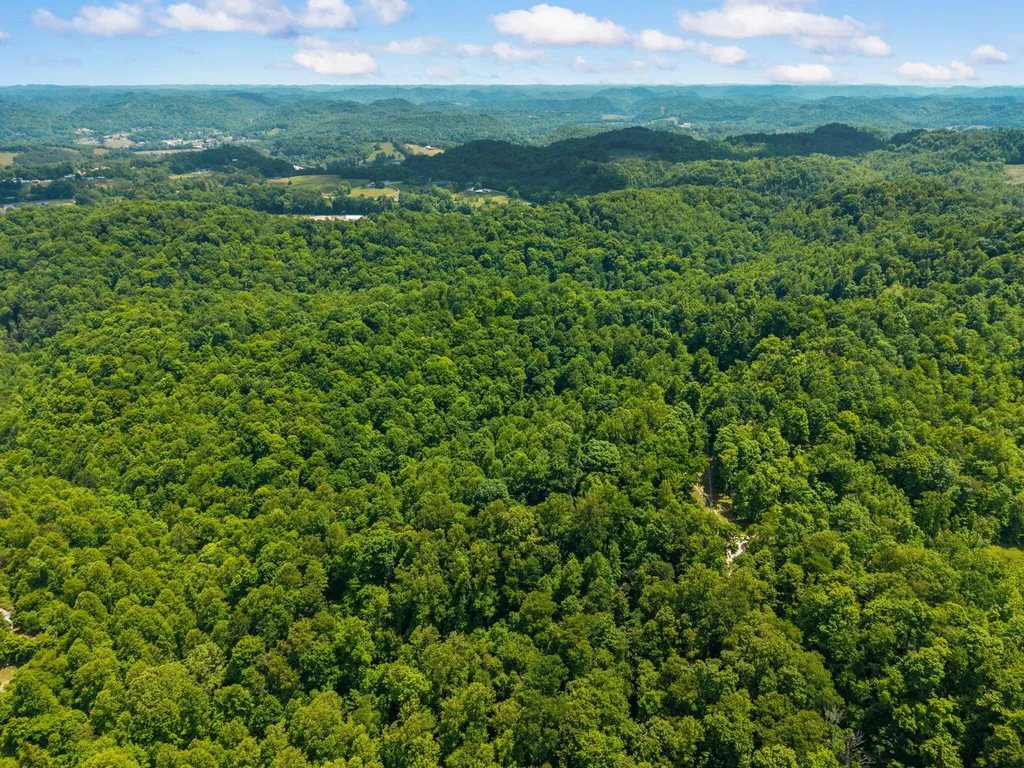 500 Fox Hunters Knob Road Booneville KY 41314