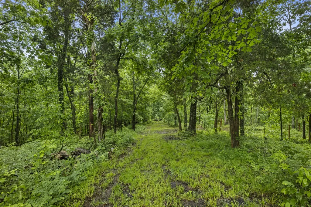 1380 Buntain School Road Lawrenceburg KY 40342
