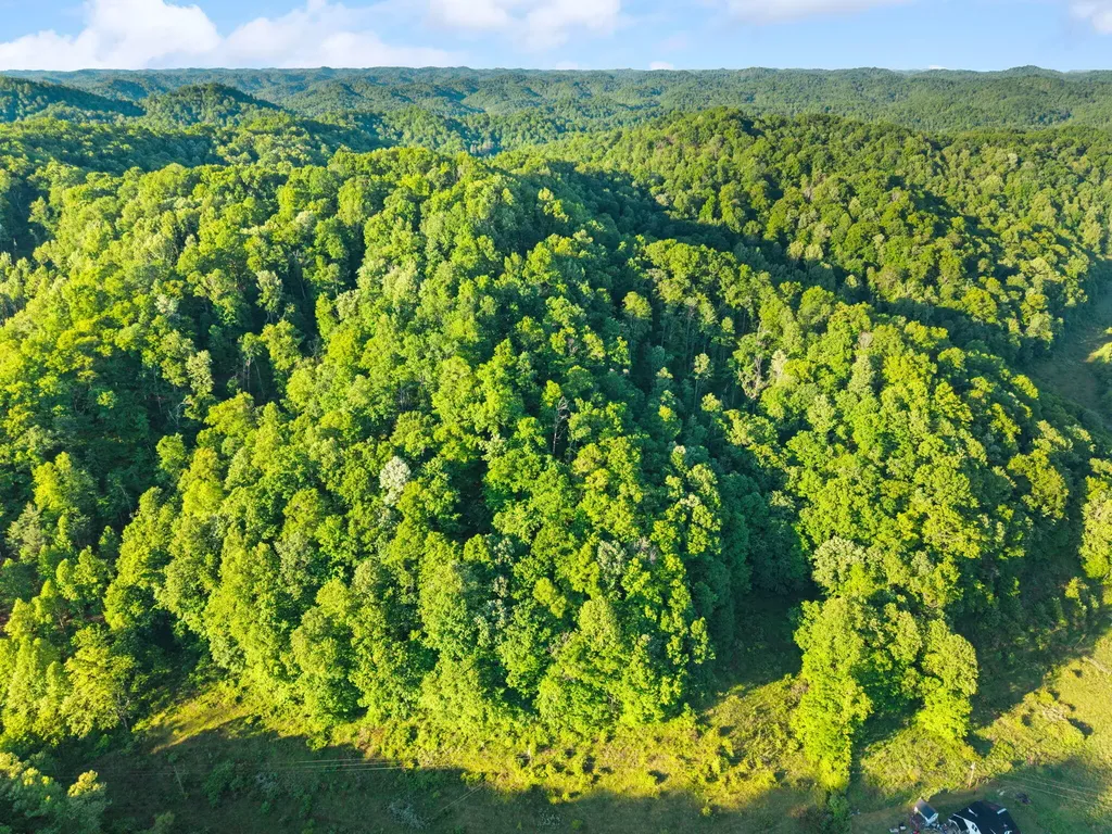 139 Burcham Fork Road Jackson KY 41339