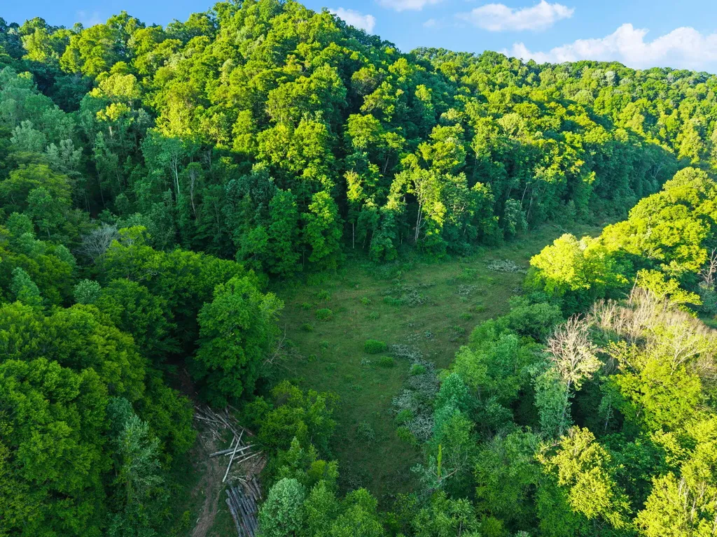 139 Burcham Fork Road Jackson KY 41339