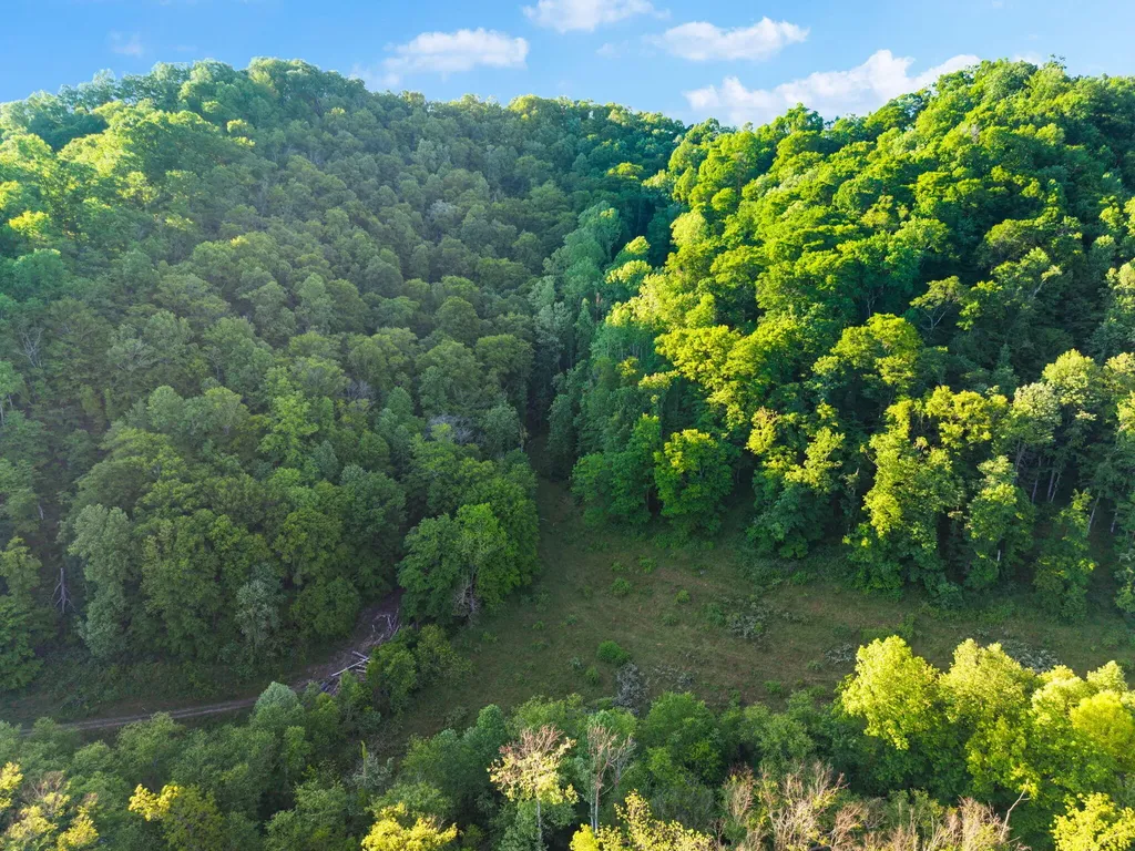 139 Burcham Fork Road Jackson KY 41339