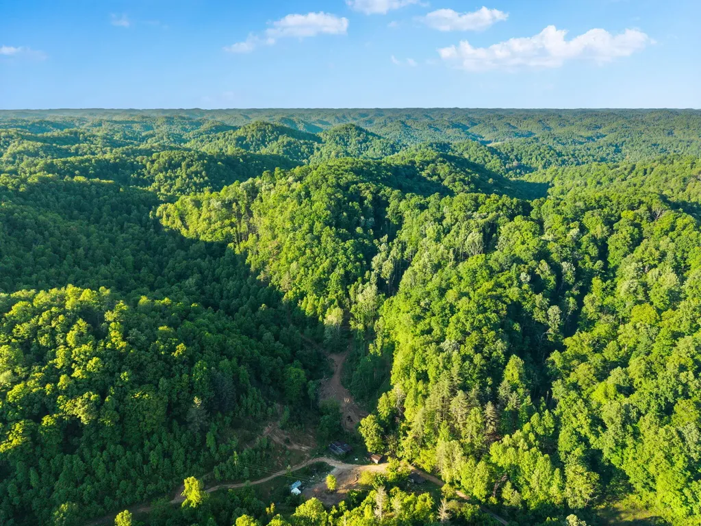 139 Burcham Fork Road Jackson KY 41339