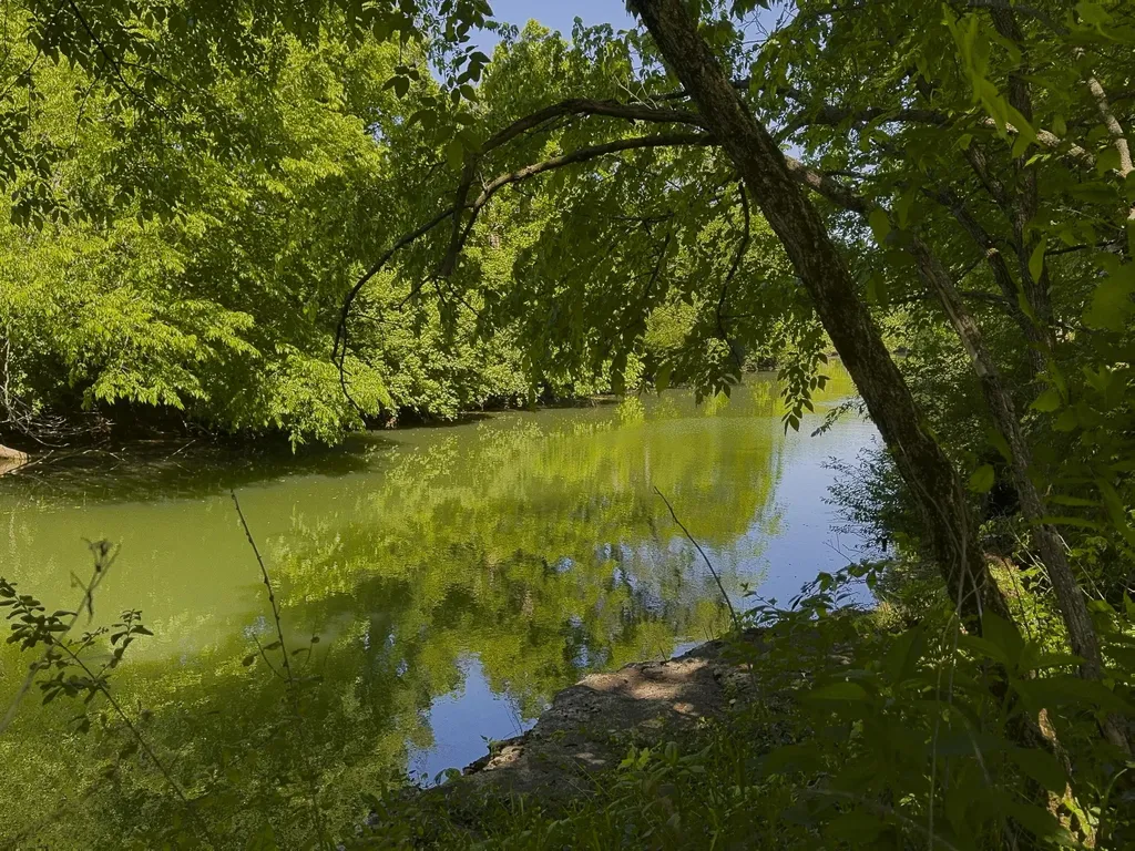 129 Morgan Mill Road Georgetown KY 40324