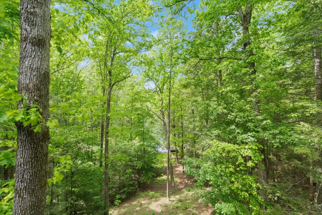 316 Wood View Drive East Bernstadt KY 40729