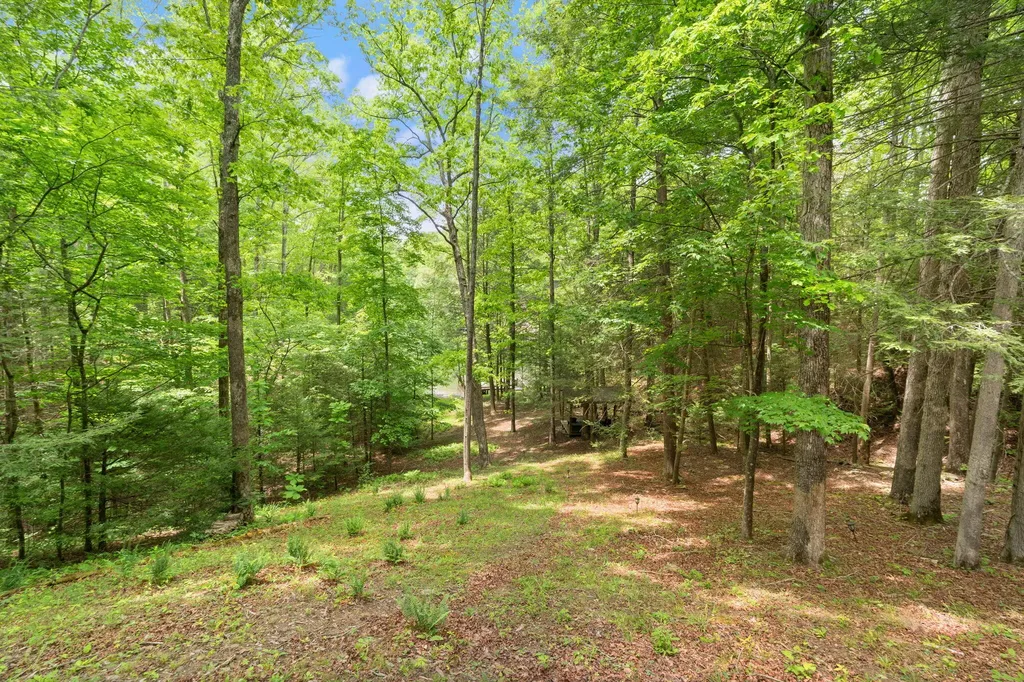 316 Wood View Drive East Bernstadt KY 40729