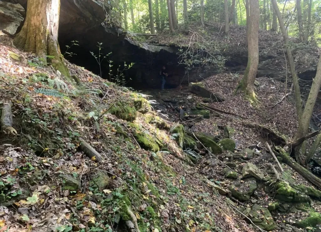 9999 Cabin Creek Road Drive London KY 40741