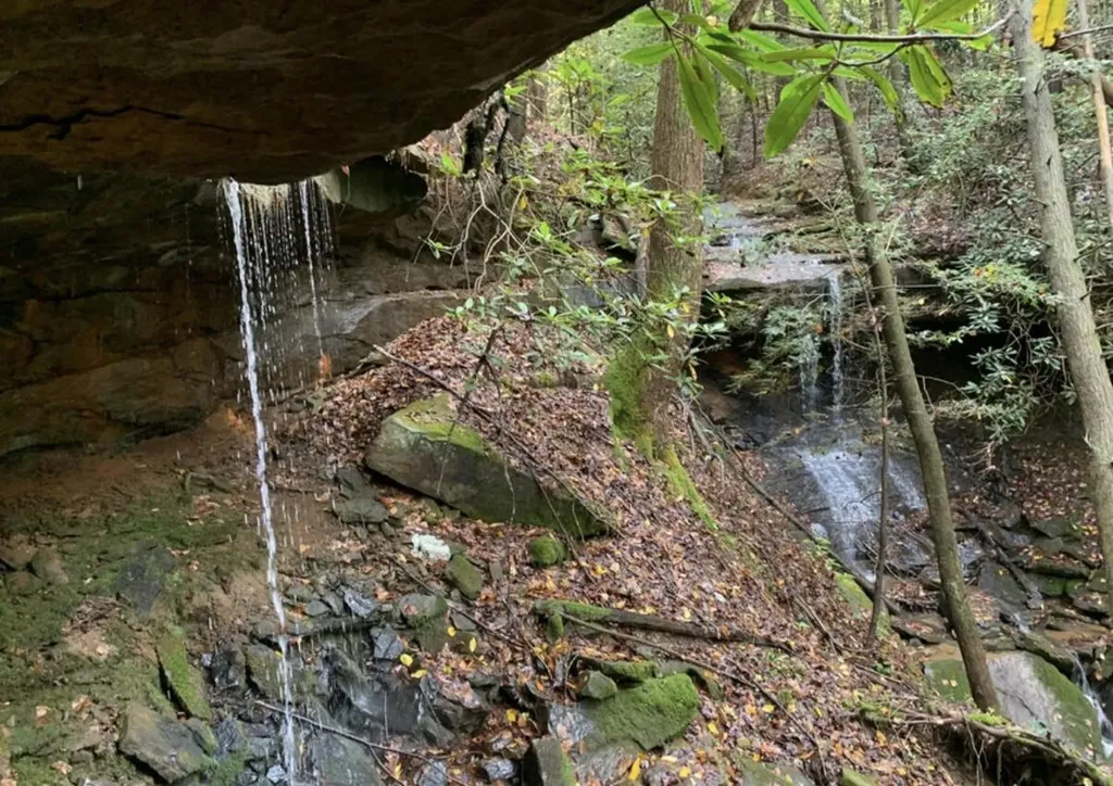 9999 Cabin Creek Road Drive London KY 40741