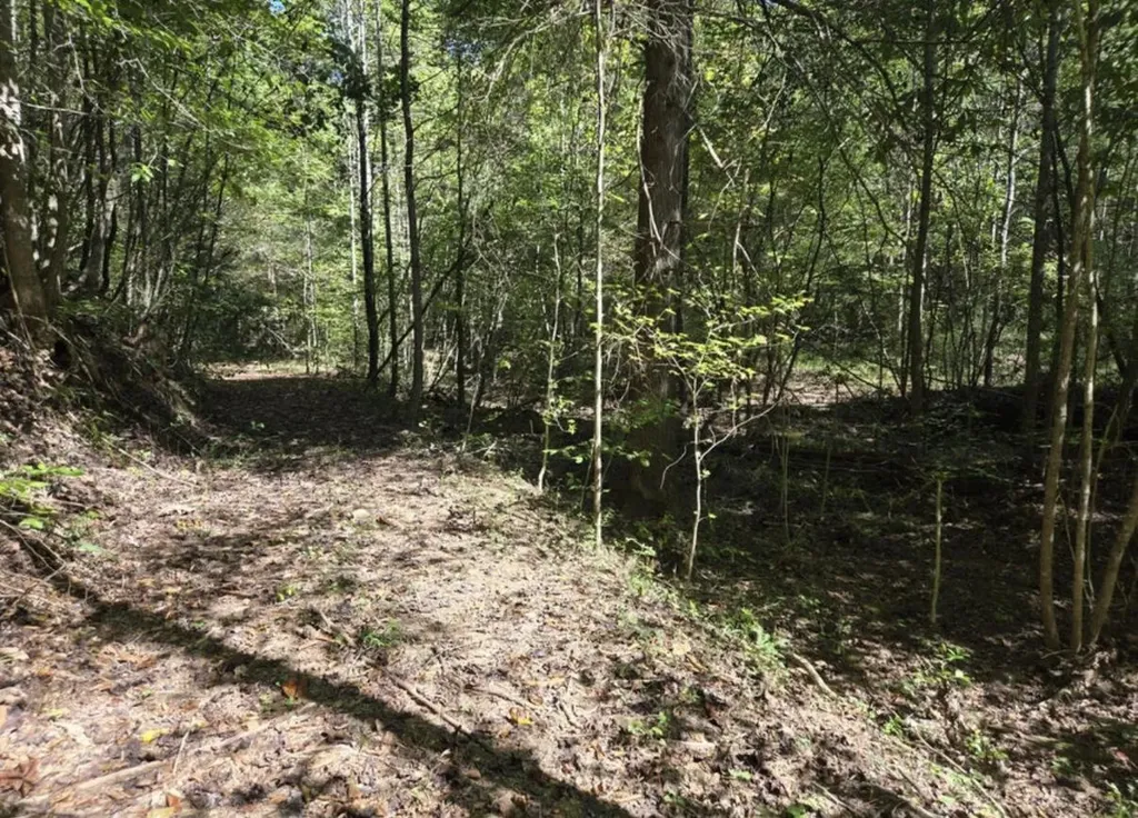 9999 Cabin Creek Road Drive London KY 40741
