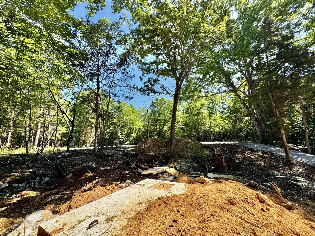 Lot 14 Buck Tail Drive Burnside KY 42519