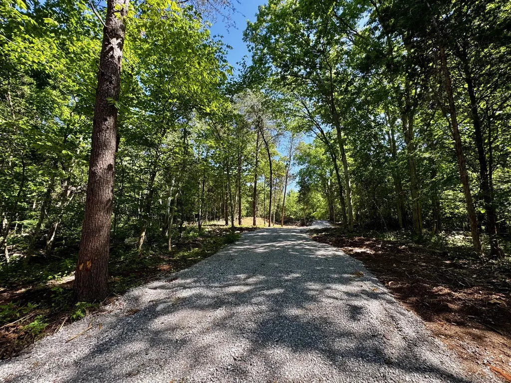 Lot 14 Buck Tail Drive Burnside KY 42519