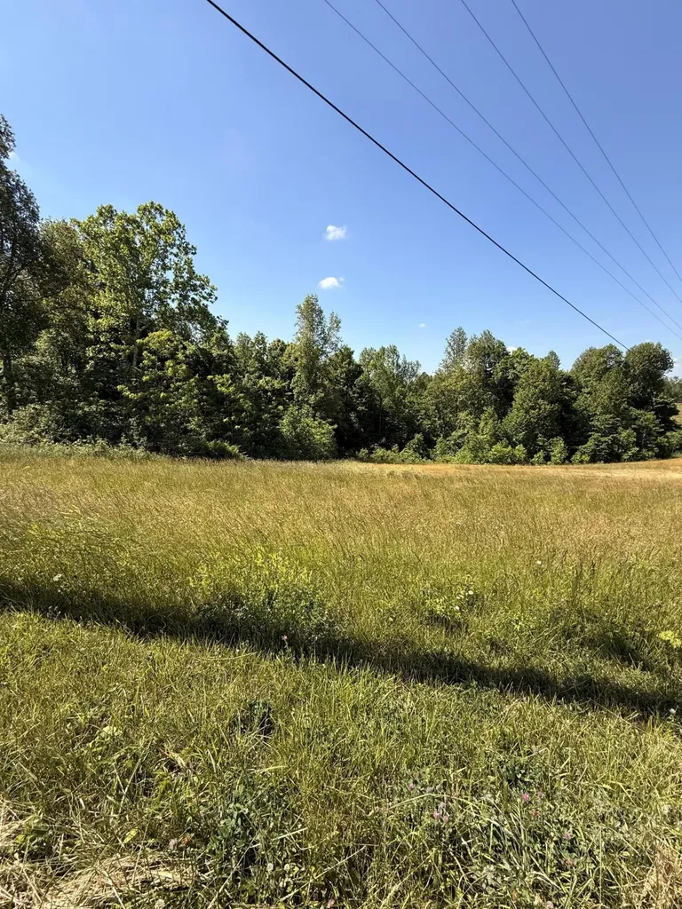 1077 Greasy Ridge Road Stanford KY 40484