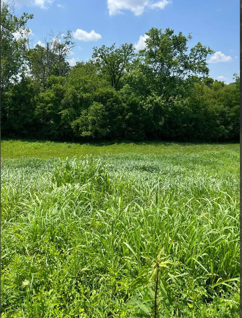 128 Oak View Drive Mt Sterling KY 40353