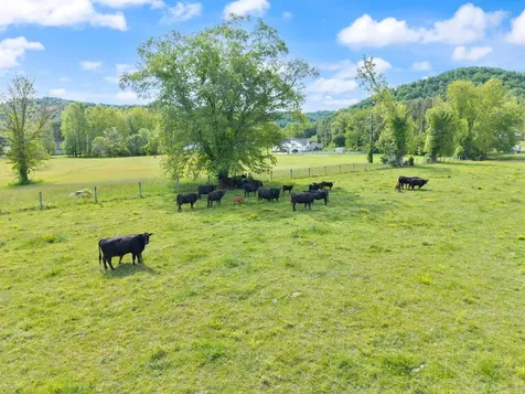 2560 Mcbrayer Road Clearfield KY 40313