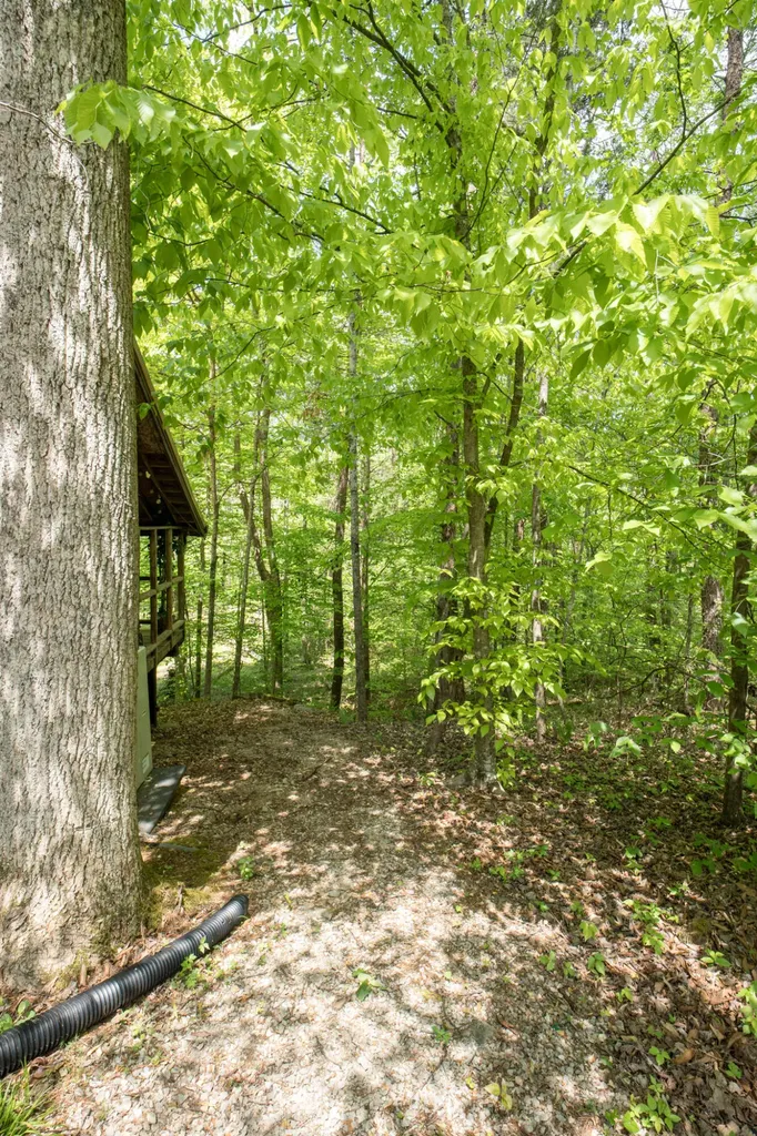 2040 Echo Point Road Bronston KY 42518