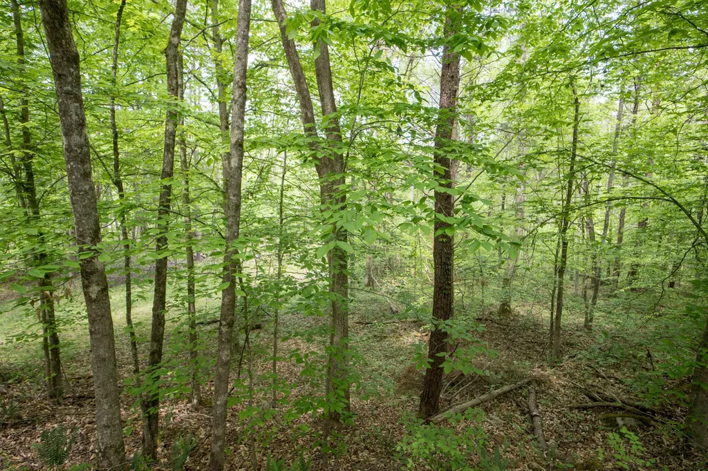 2040 Echo Point Road Bronston KY 42518