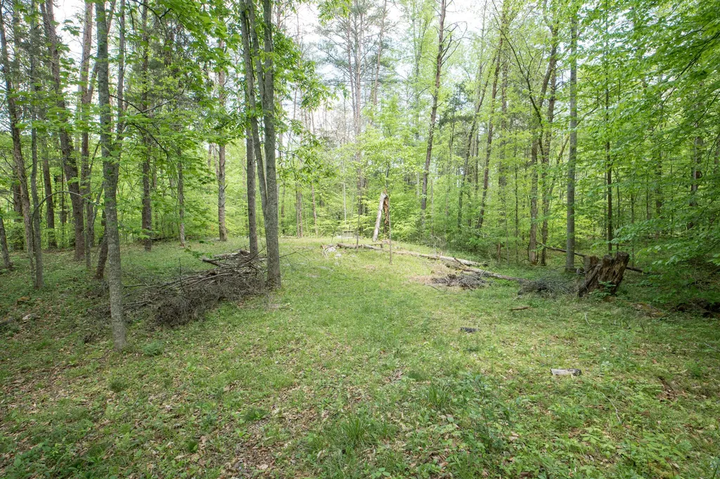 2040 Echo Point Road Bronston KY 42518