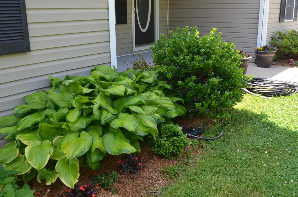 15 Delmas Gilliam Road London KY 40741