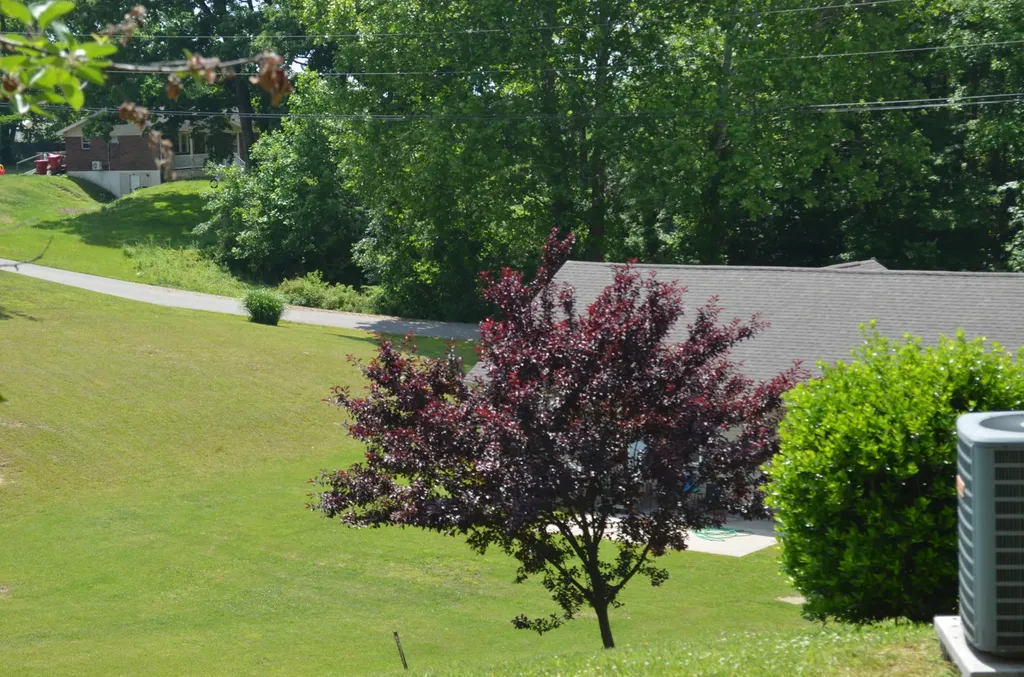 15 Delmas Gilliam Road London KY 40741