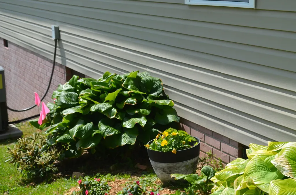 15 Delmas Gilliam Road London KY 40741