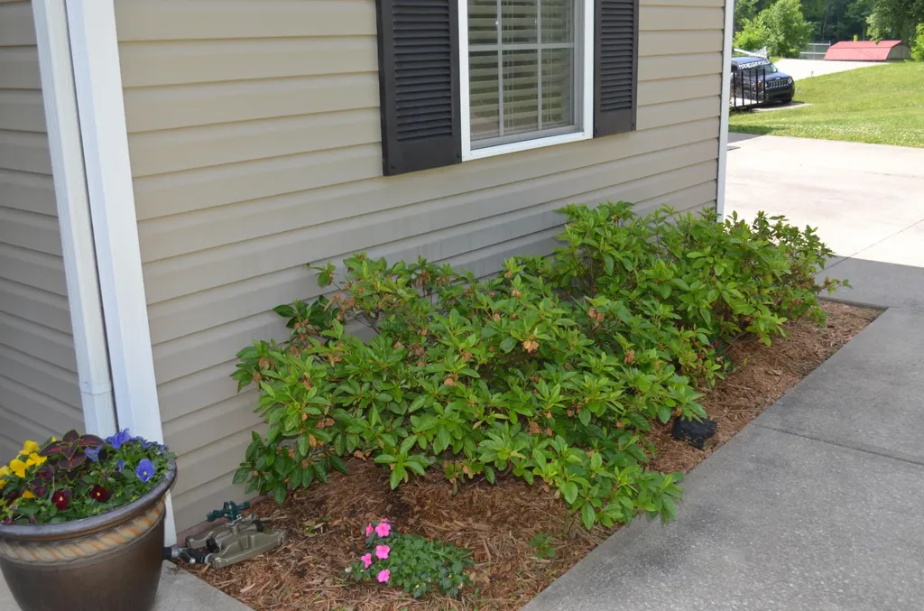 15 Delmas Gilliam Road London KY 40741