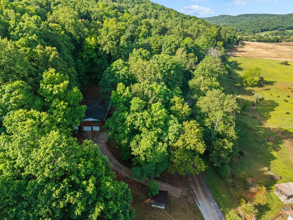 2371 State Highway 1568 Monticello KY 42633