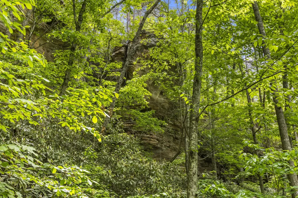 77 Lloyd Lane Stanton KY 40380