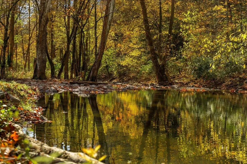 2231 Glass Mill Road Wilmore KY 40390