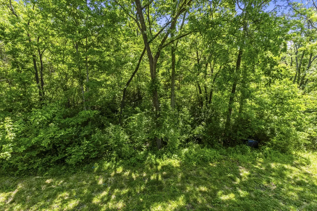 7390 Bald Knob Road Frankfort KY 40601